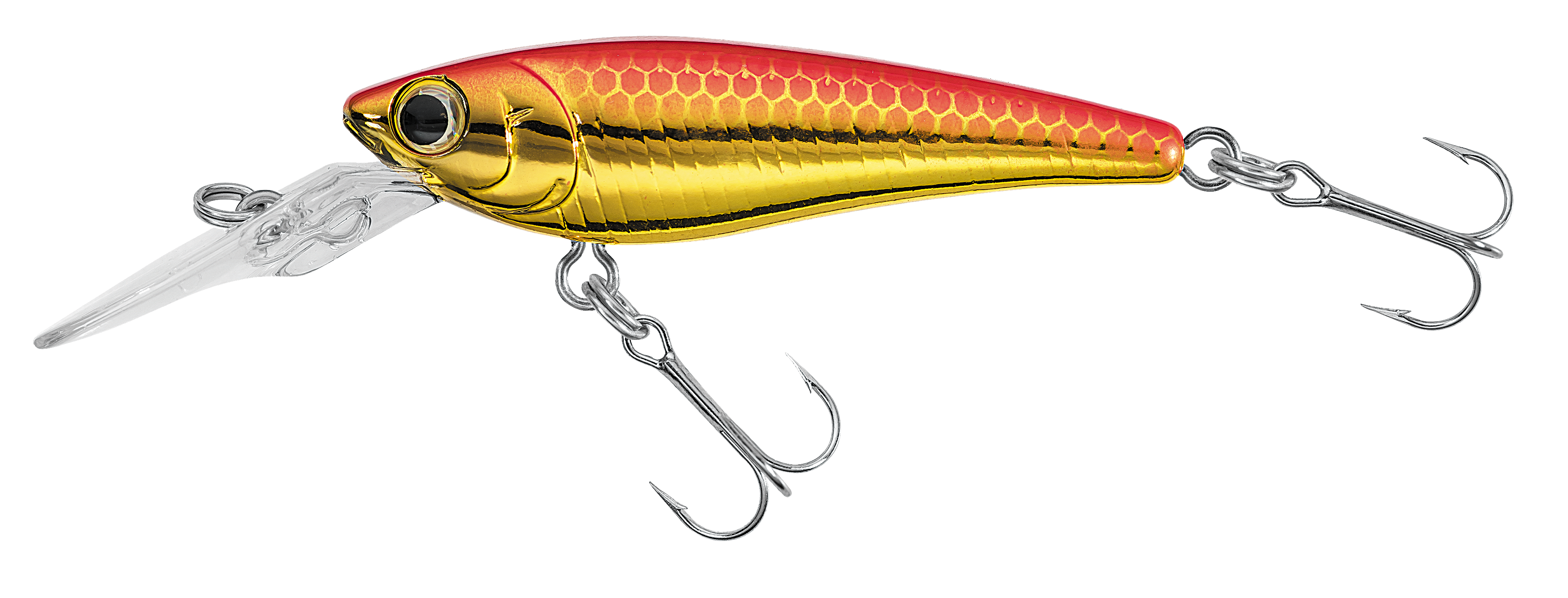 SC SHAD