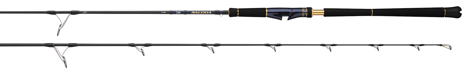 SALTIGA JIGGING RODS